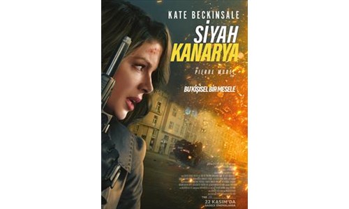 SİYAH KANARYA